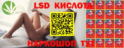 прущие грибы Можга