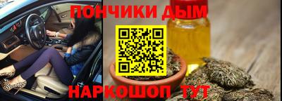 прущие грибы Можга