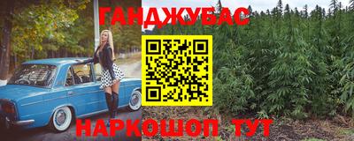 прущие грибы Можга