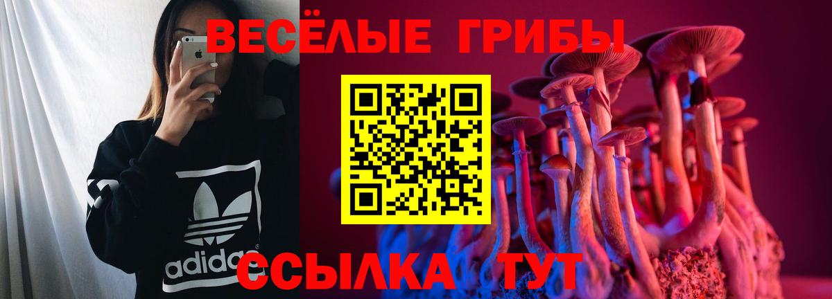 Галлюциногенные грибы ЛСД Сорочинск